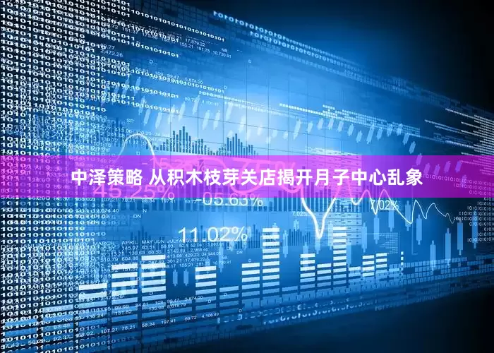 中泽策略 从积木枝芽关店揭开月子中心乱象